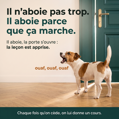 Chut! La Solution Anti-Aboiement