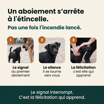Chut! La Solution Anti-Aboiement