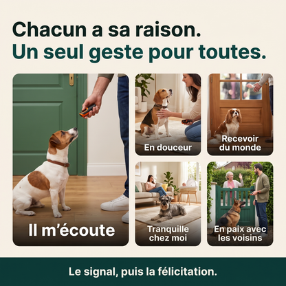 Chut! La Solution Anti-Aboiement