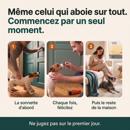 Chut! La Solution Anti-Aboiement