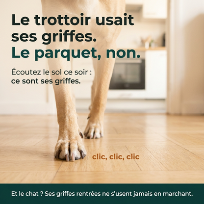 La Lime Tranquille