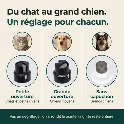 La Lime Tranquille